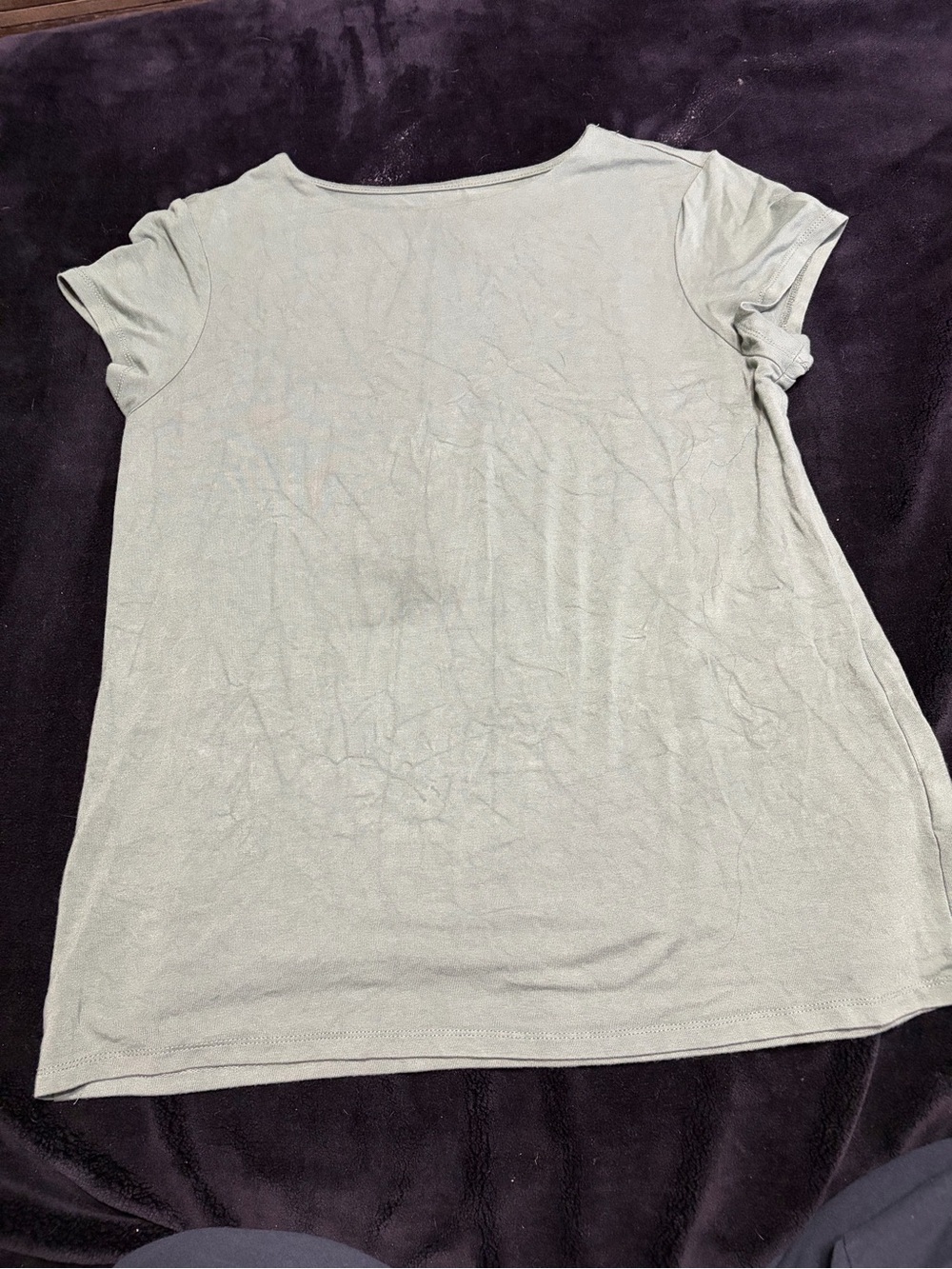 Cupio Light Sage Short Sleeve Crew Tee